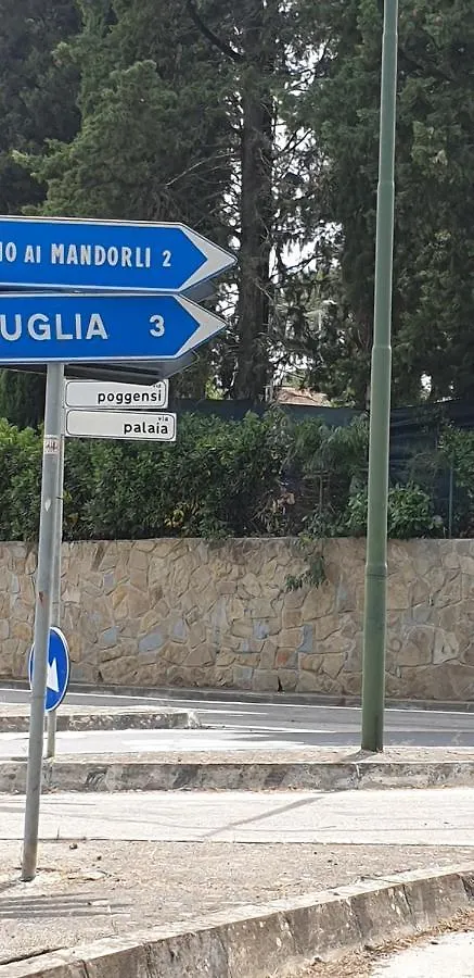 Casa Nel Chianti Da Norma Appartamento Greve in Chianti