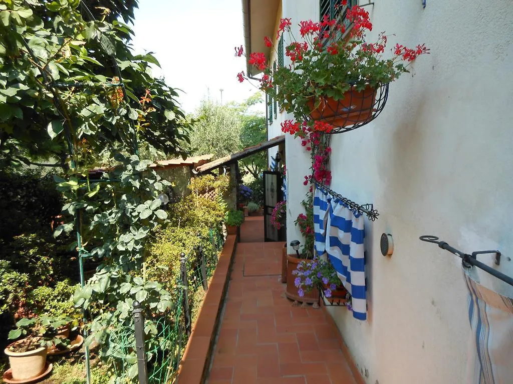 Casa Nel Chianti Da Norma Apartment Greve in Chianti