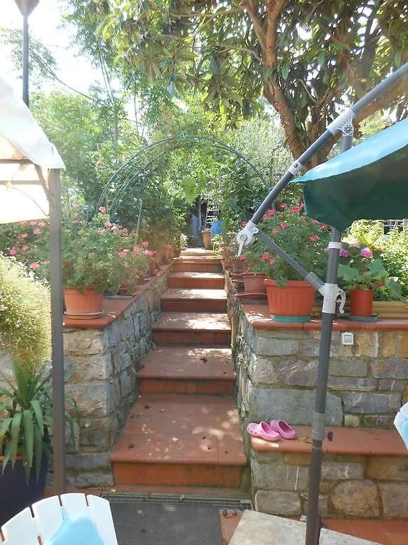 Casa Nel Chianti Da Norma Apartment Greve in Chianti