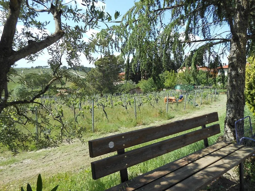 Casa Nel Chianti Da Norma Apartment Greve in Chianti Italy