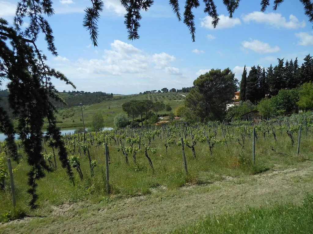 Casa Nel Chianti Da Norma Apartment Greve in Chianti