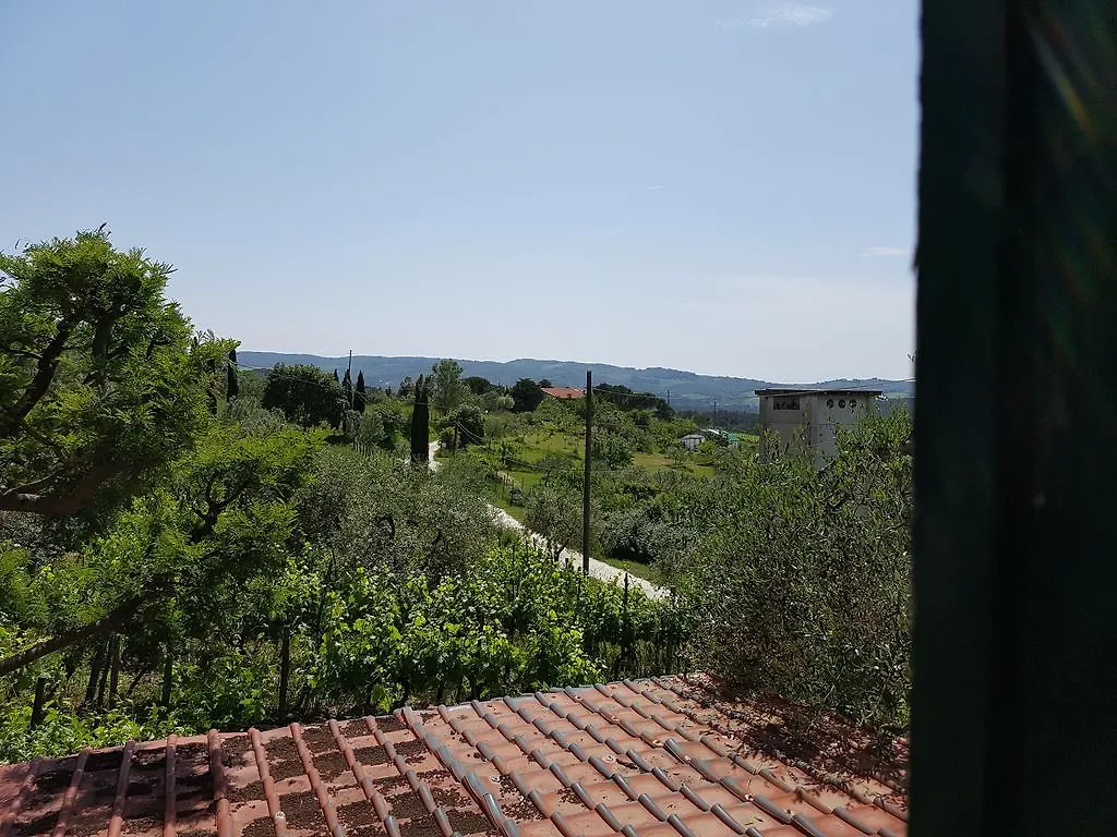 Casa Nel Chianti Da Norma Apartment Greve in Chianti