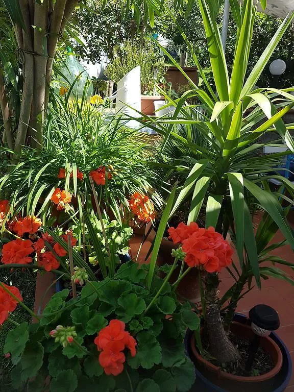 Casa Nel Chianti Da Norma Apartment Greve in Chianti 0*,